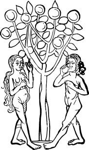 Подвижники и мученики науки - i_012.jpg