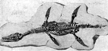 Подвижники и мученики науки - i_026.jpg