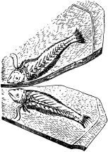 Подвижники и мученики науки - i_027.jpg