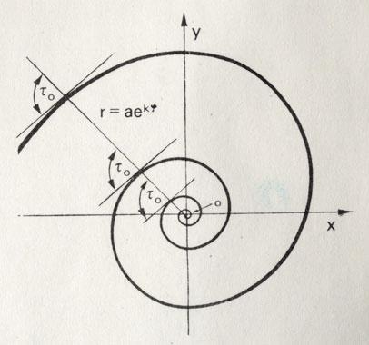 Зеркальный мир - img_163.jpeg