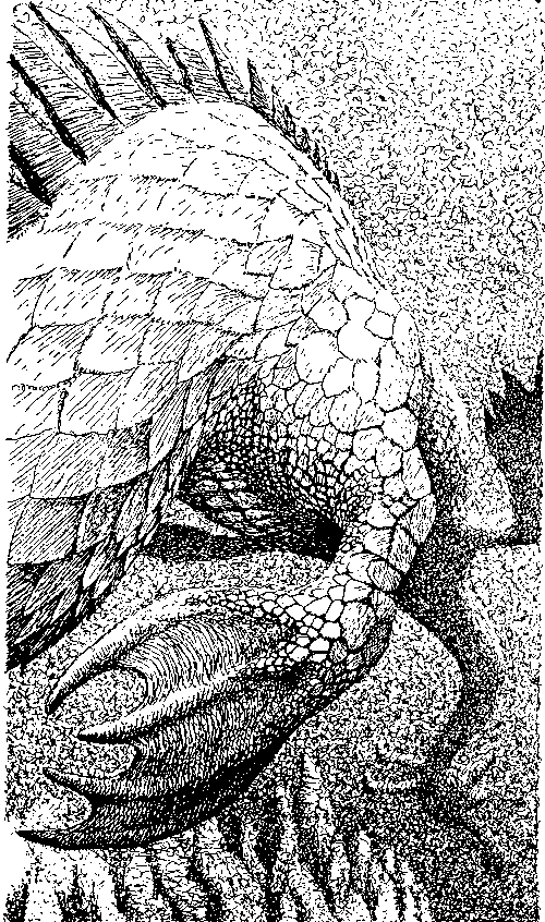 Тайна двух океанов (илл. Ю. Коляденко) - pic_10.png