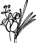 Китайская кухня в вашем доме - i_007.png