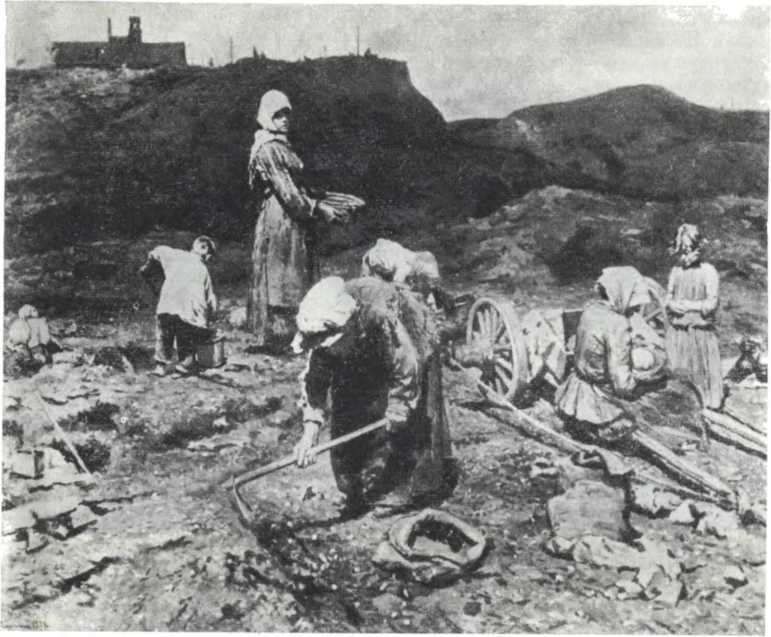 История Украинской ССР в десяти томах. Том четвертый - img_115.jpg