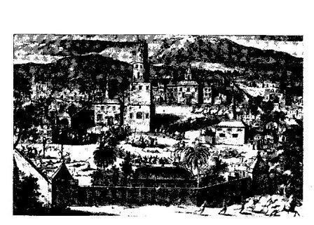 Современники и потомки о восстании С.Т. Разина - i_002.jpg