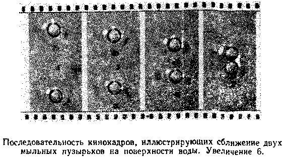 Живой кристалл - _10.jpg