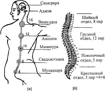 Практическое целительство. Исцеление через гармонию - _13.jpg