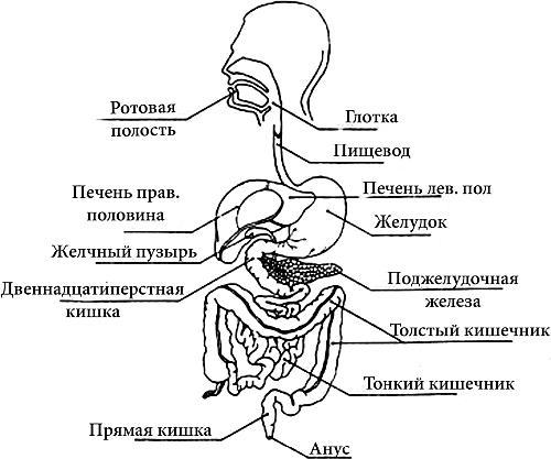 Практическое целительство. Исцеление через гармонию - _33.jpg