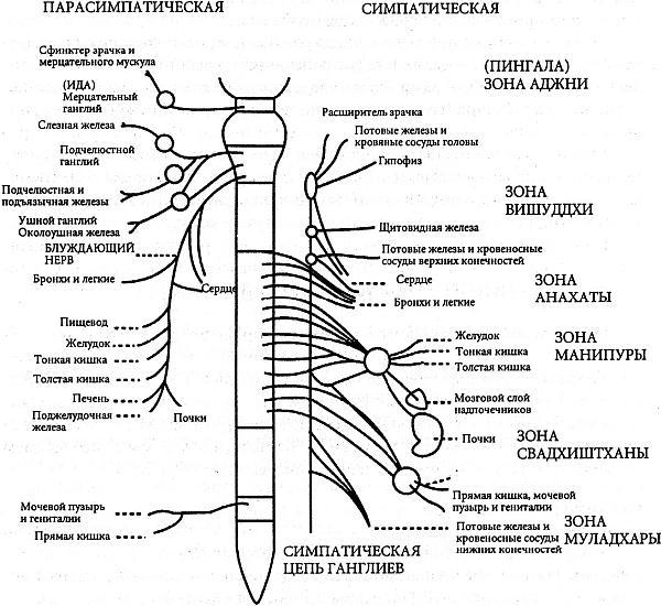 Практическое целительство. Исцеление через гармонию - _8.jpg