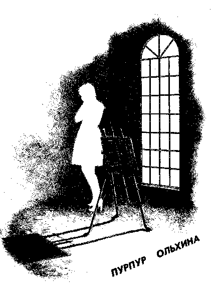 Прозрачная женщина (сборник) - img002.png