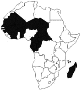 Военные операции Франции в Африке - i_002.png