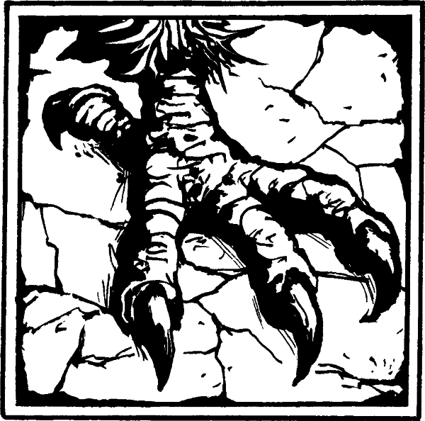 Лирика - i_009.jpg