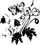 Необыкновенный махаон - i_012.png