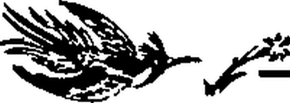 Необыкновенный махаон - i_020.png