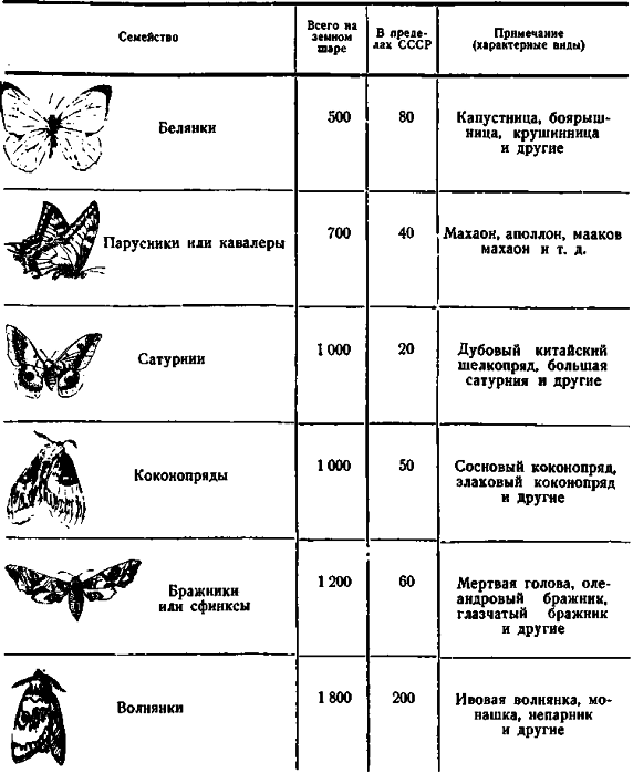 Необыкновенный махаон - i_056.png