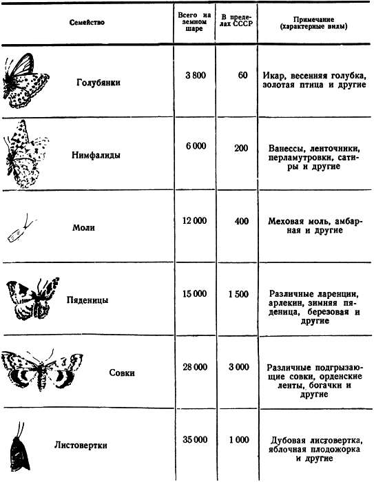 Необыкновенный махаон - i_057.png