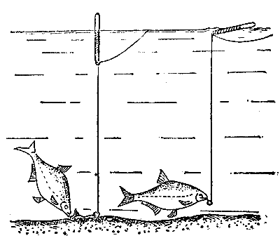 Практика спортивного рыболовства - i_032.png