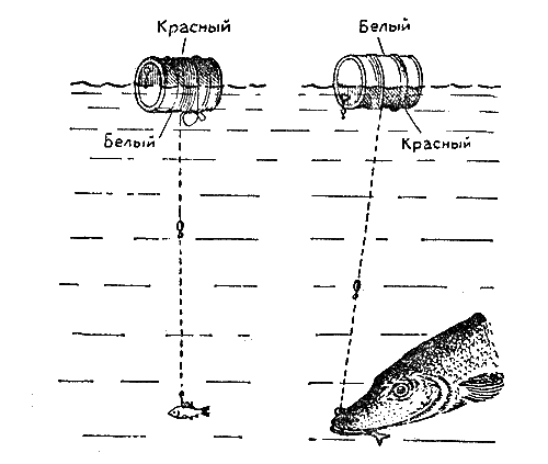 Практика спортивного рыболовства - i_048.png