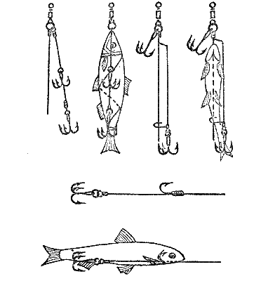 Практика спортивного рыболовства - i_060.png