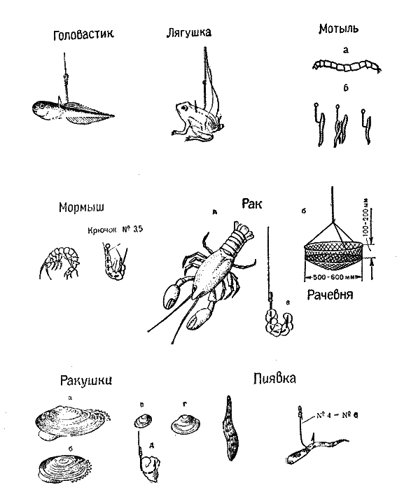 Практика спортивного рыболовства - i_072.png