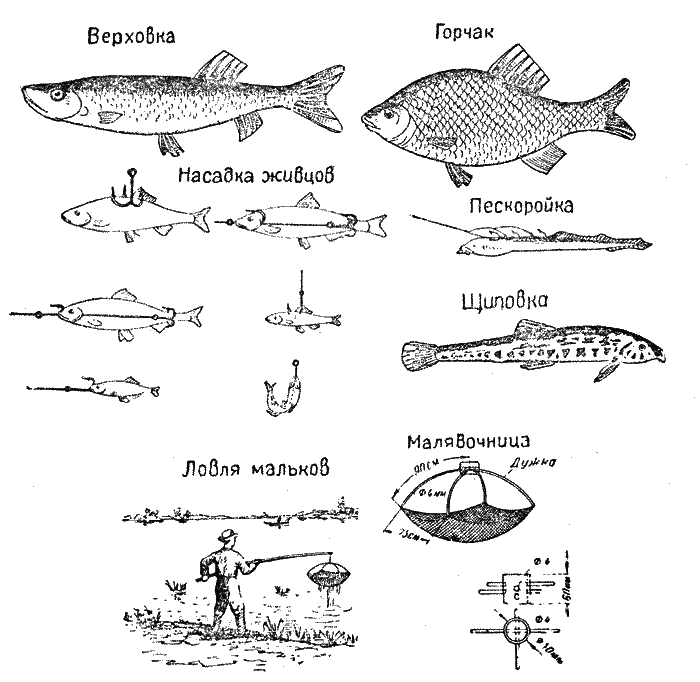 Практика спортивного рыболовства - i_073.png