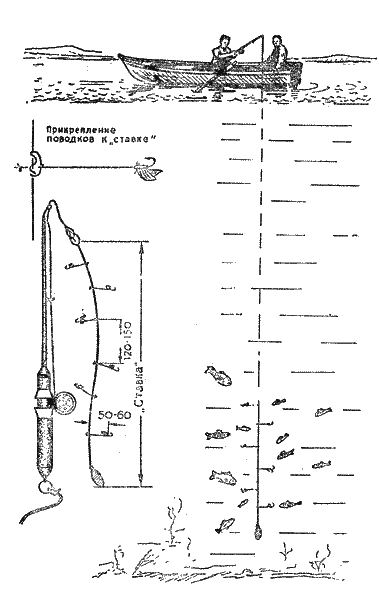 Практика спортивного рыболовства - i_087.png