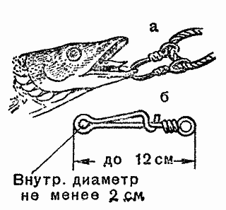 Практика спортивного рыболовства - i_091.png