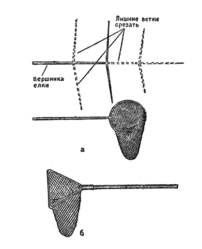 Практика спортивного рыболовства - i_109.png