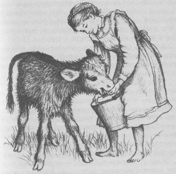 Долгая зима - _31.jpg