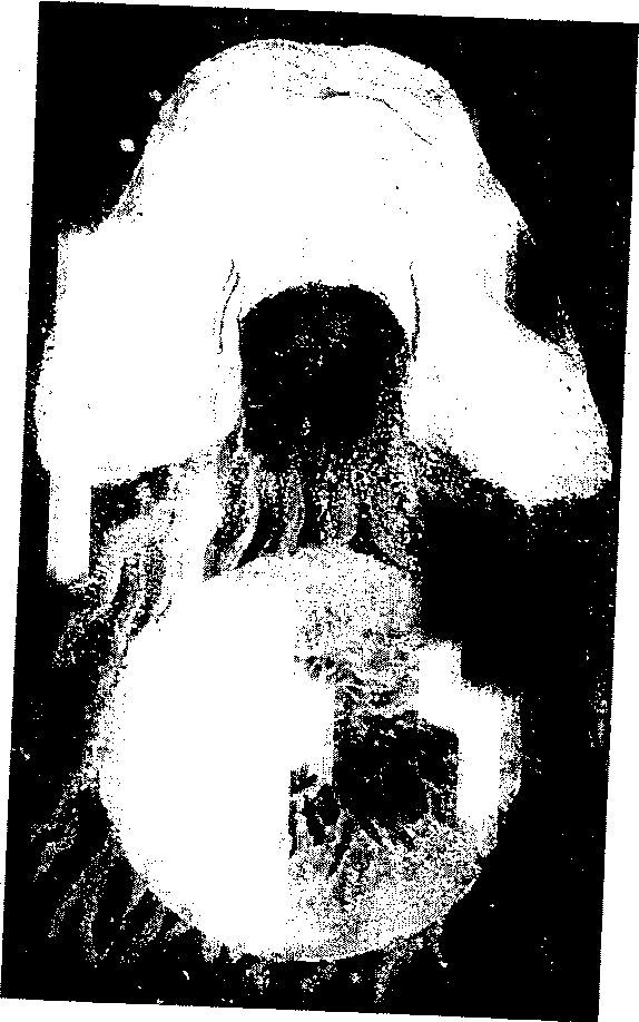 LSD. Галлюциногены, психоделия и феномен зависимости - img95BE.jpg