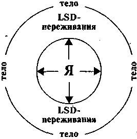 LSD. Галлюциногены, психоделия и феномен зависимости - img4869.jpg