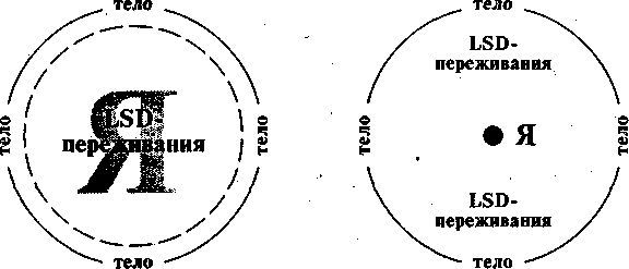 LSD. Галлюциногены, психоделия и феномен зависимости - imgF581.jpg