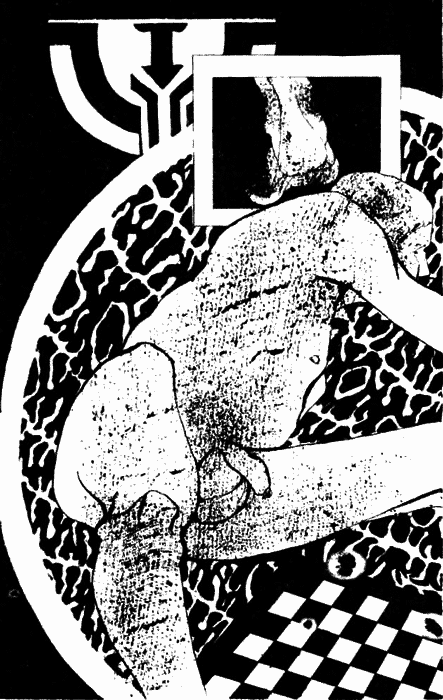 Девственность и другие рассказы. Порнография. Страницы дневника - i_018.png