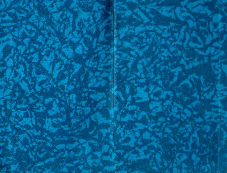 Песни черного дрозда (сборник) - pic_1.jpg