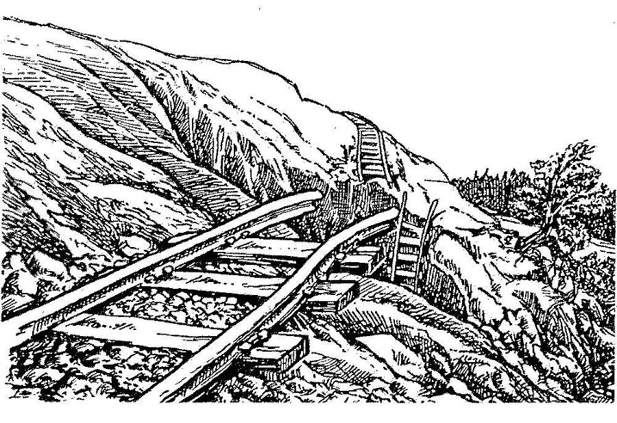 Я познаю мир. Арктика и Антарктика - _25.jpg