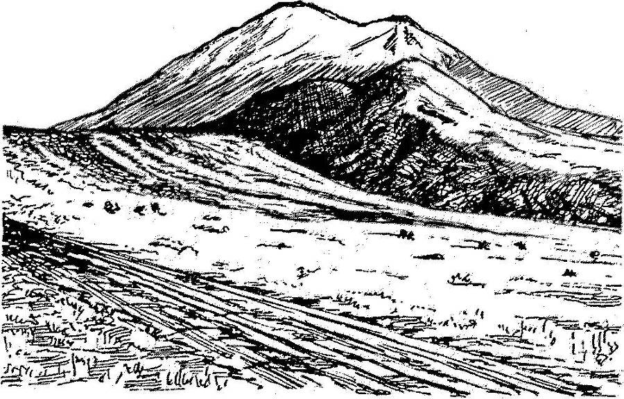 Я познаю мир. Арктика и Антарктика - _48.jpg