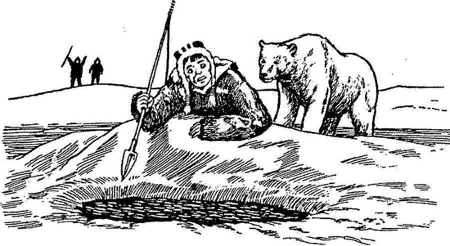 Я познаю мир. Арктика и Антарктика - _100.jpg