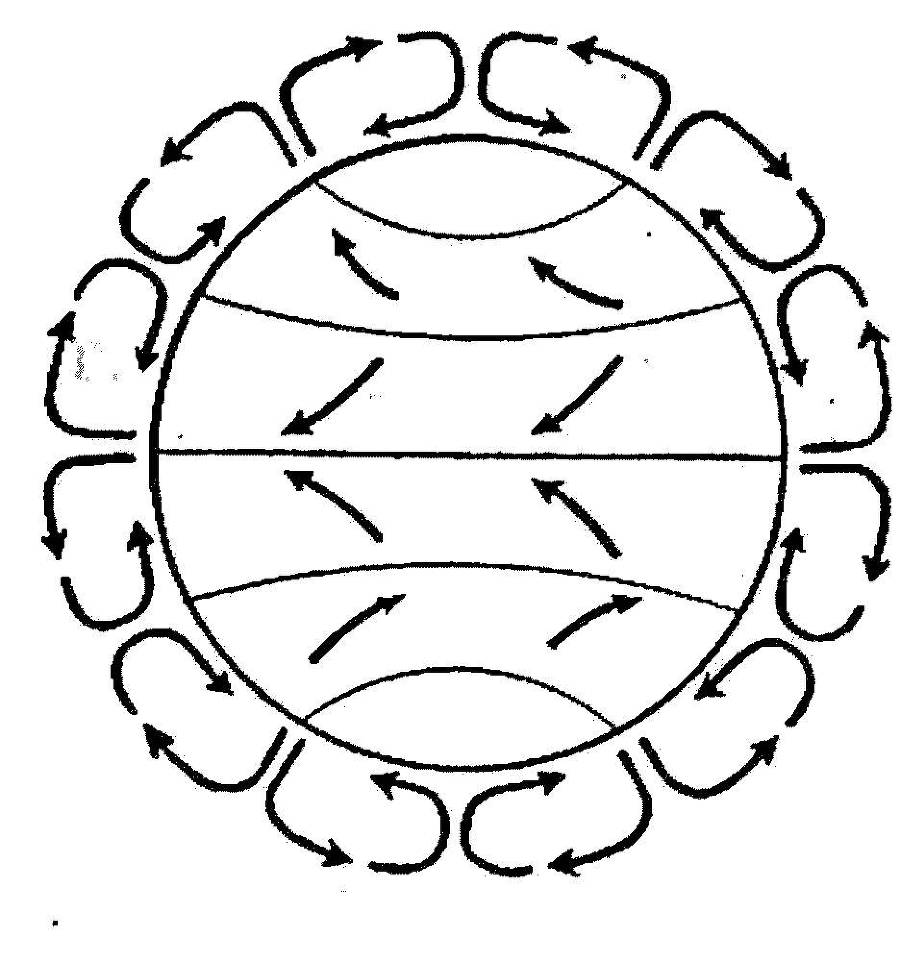 Я познаю мир. Арктика и Антарктика - _62.jpg