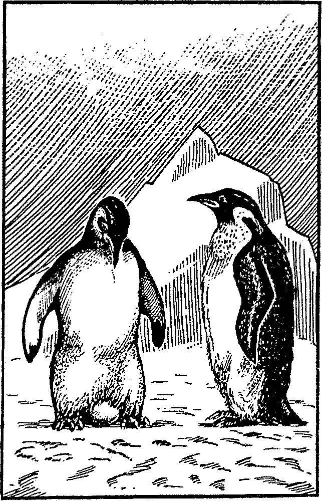 Я познаю мир. Арктика и Антарктика - _154.jpg