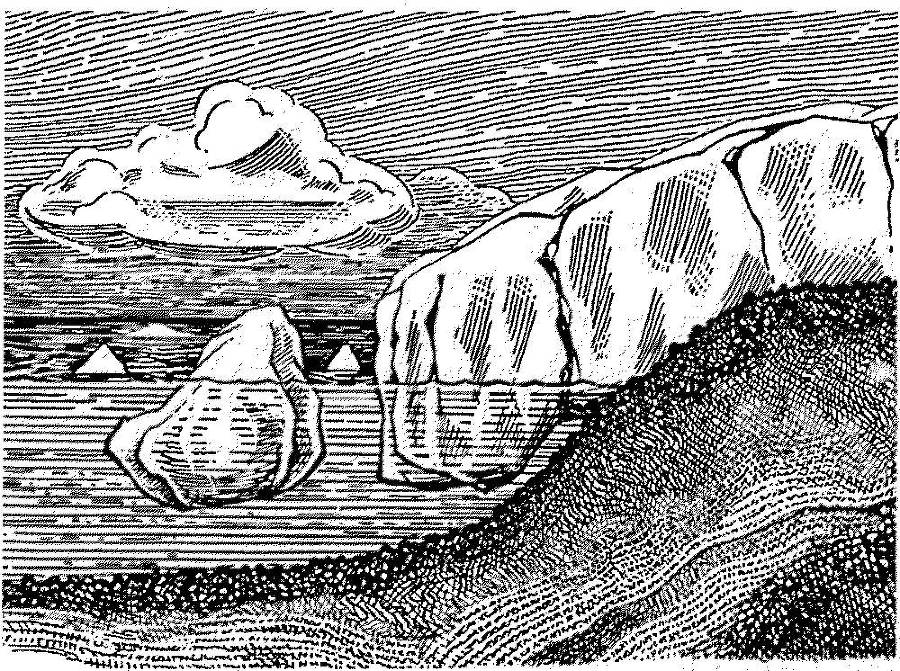 Я познаю мир. Арктика и Антарктика - _28.jpg