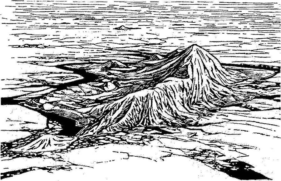 Я познаю мир. Арктика и Антарктика - _31.jpg