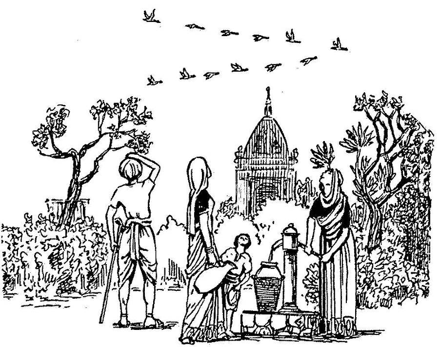 Я познаю мир. Арктика и Антарктика - _141.jpg