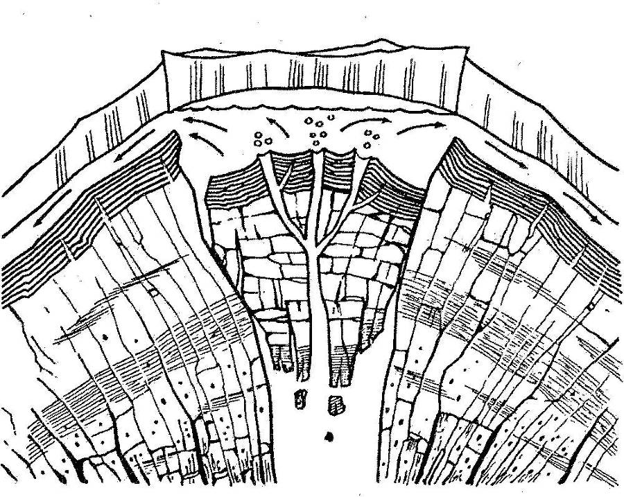 Я познаю мир. Арктика и Антарктика - _49.jpg