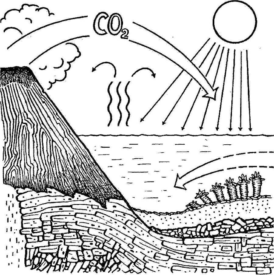 Я познаю мир. Арктика и Антарктика - _60.jpg