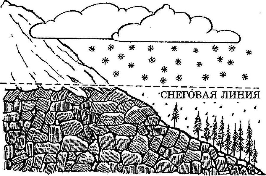 Я познаю мир. Арктика и Антарктика - _71.jpg