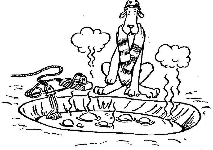 Я познаю мир. Арктика и Антарктика - _82.jpg