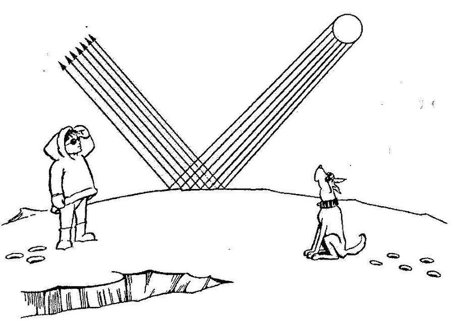 Я познаю мир. Арктика и Антарктика - _10.jpg