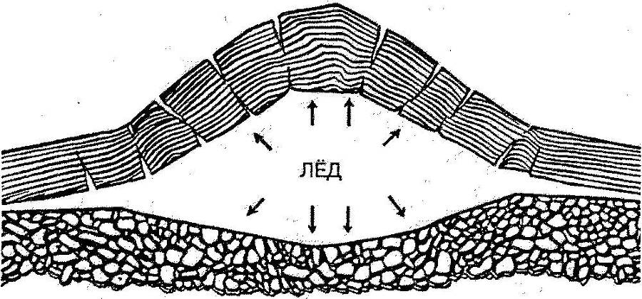 Я познаю мир. Арктика и Антарктика - _26.jpg