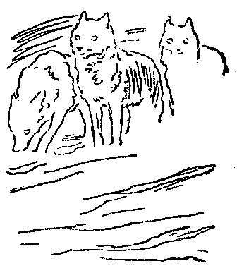 Моя жизнь (Художник В. Садков) - pic_14.png