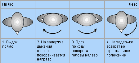 Путь Толтеков. Перепросмотр. Исцеление травм прошлого - i_012.png