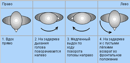 Путь Толтеков. Перепросмотр. Исцеление травм прошлого - i_013.png